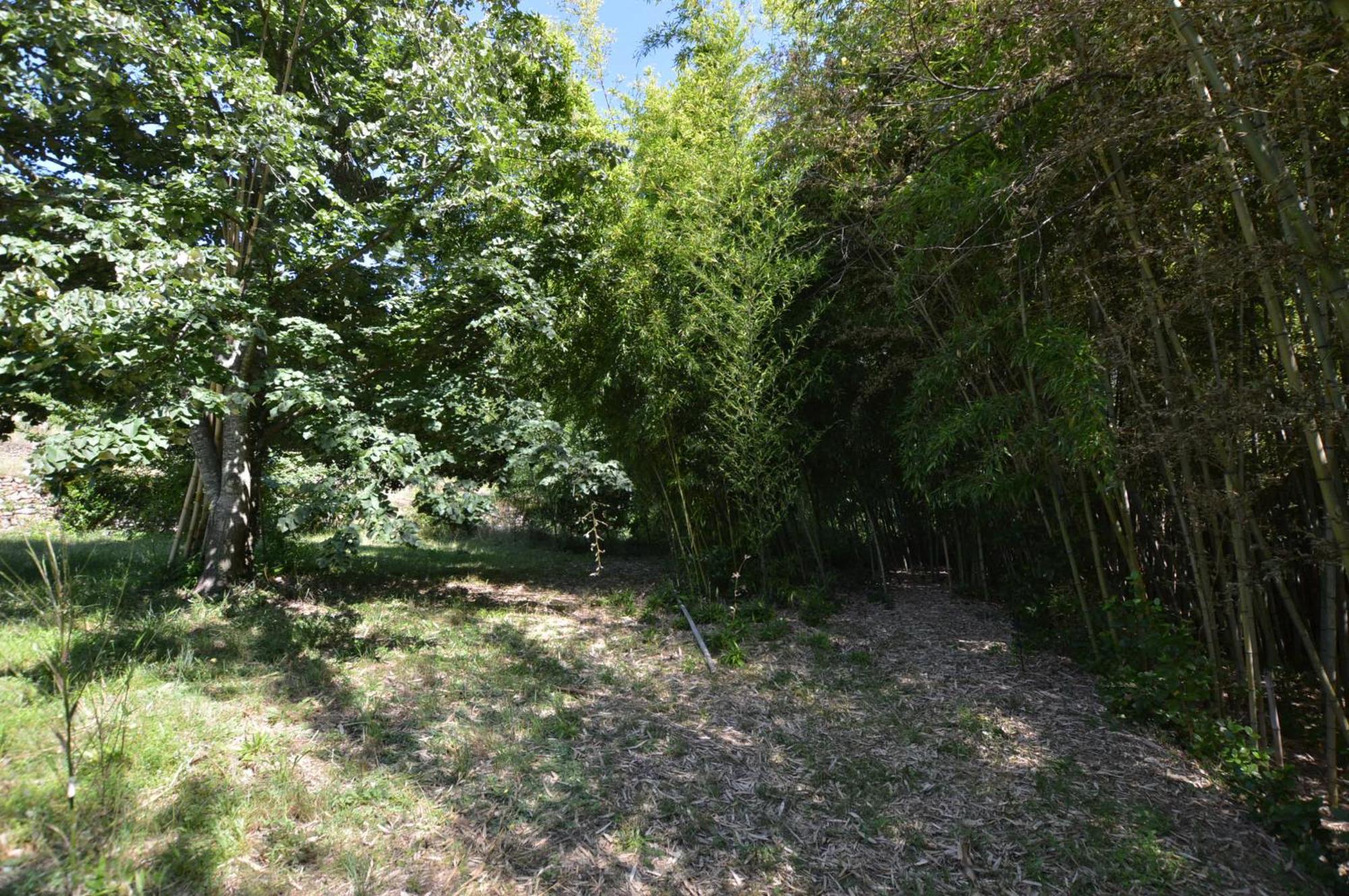 GenerarguesMas Des Druilles住宿加早餐旅馆 外观 照片